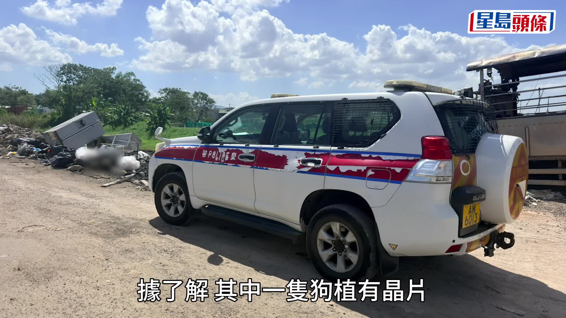 新田5狗屍棄魚塘垃圾堆疑遭毒殺 警列虐畜調查