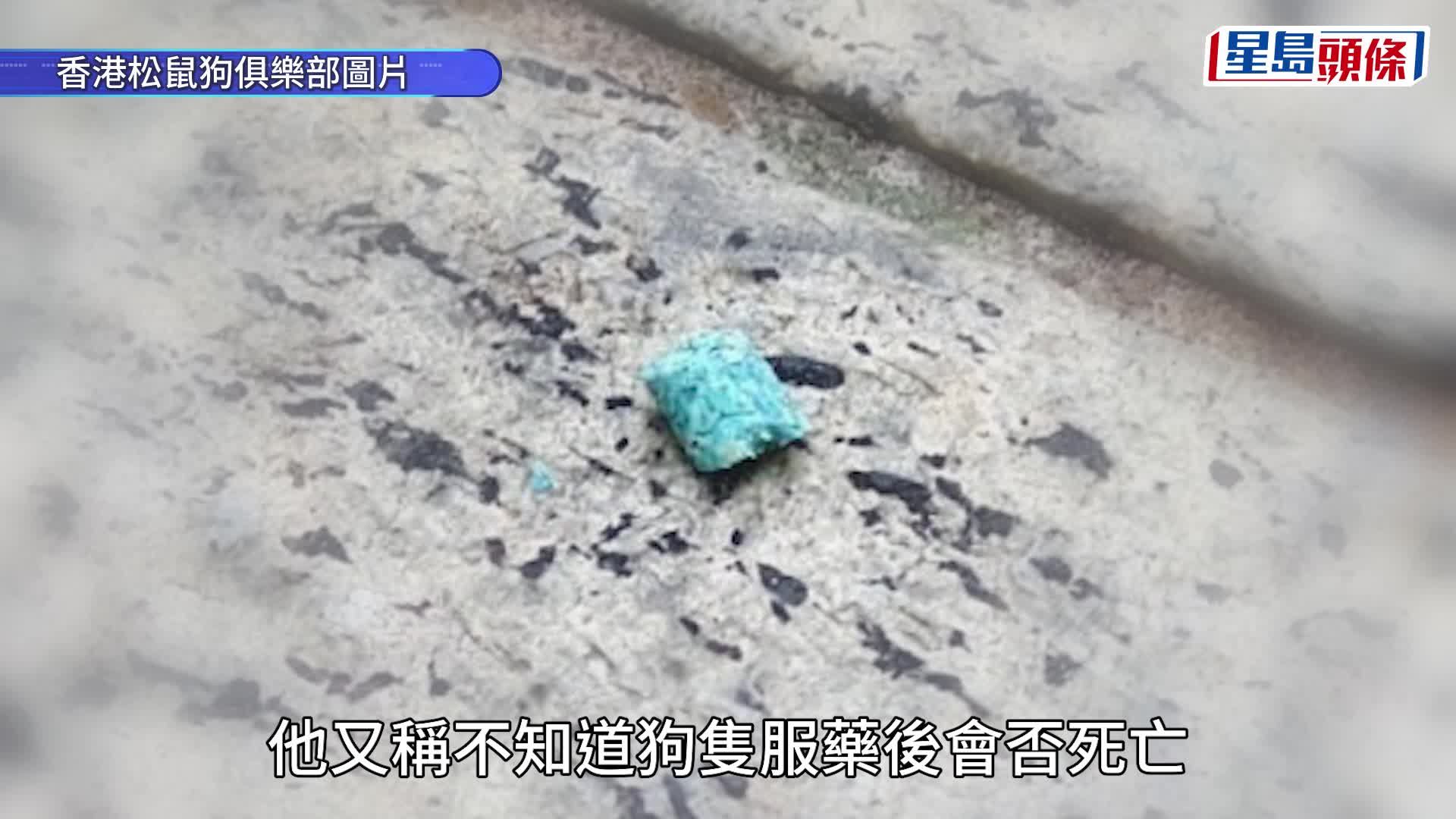 被告黃志榕認於公園放置老鼠藥圖毒死狗，被判監14天但准予緩刑2年。葉偉豪攝
