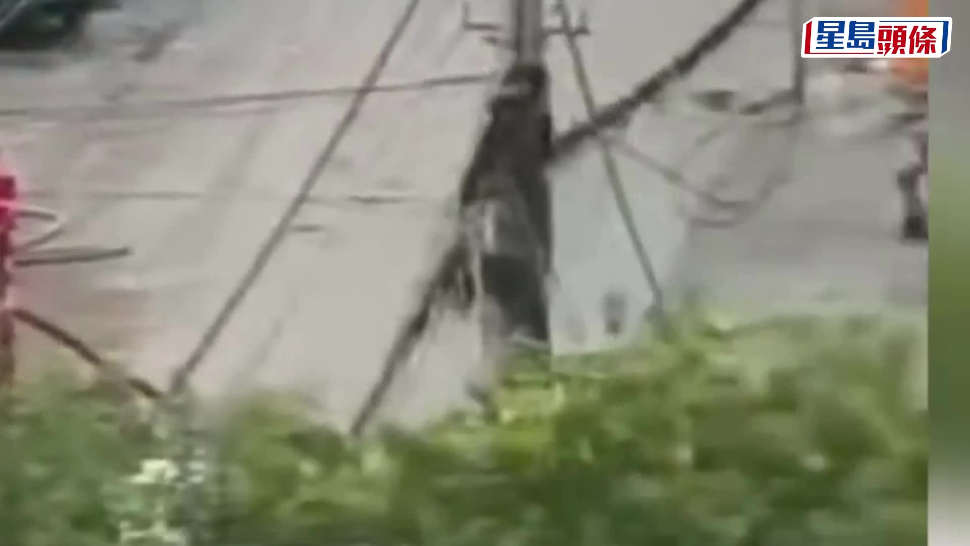 高壓電線從天而降，河南路人觸電身亡，車輛爆炸燒毀。
