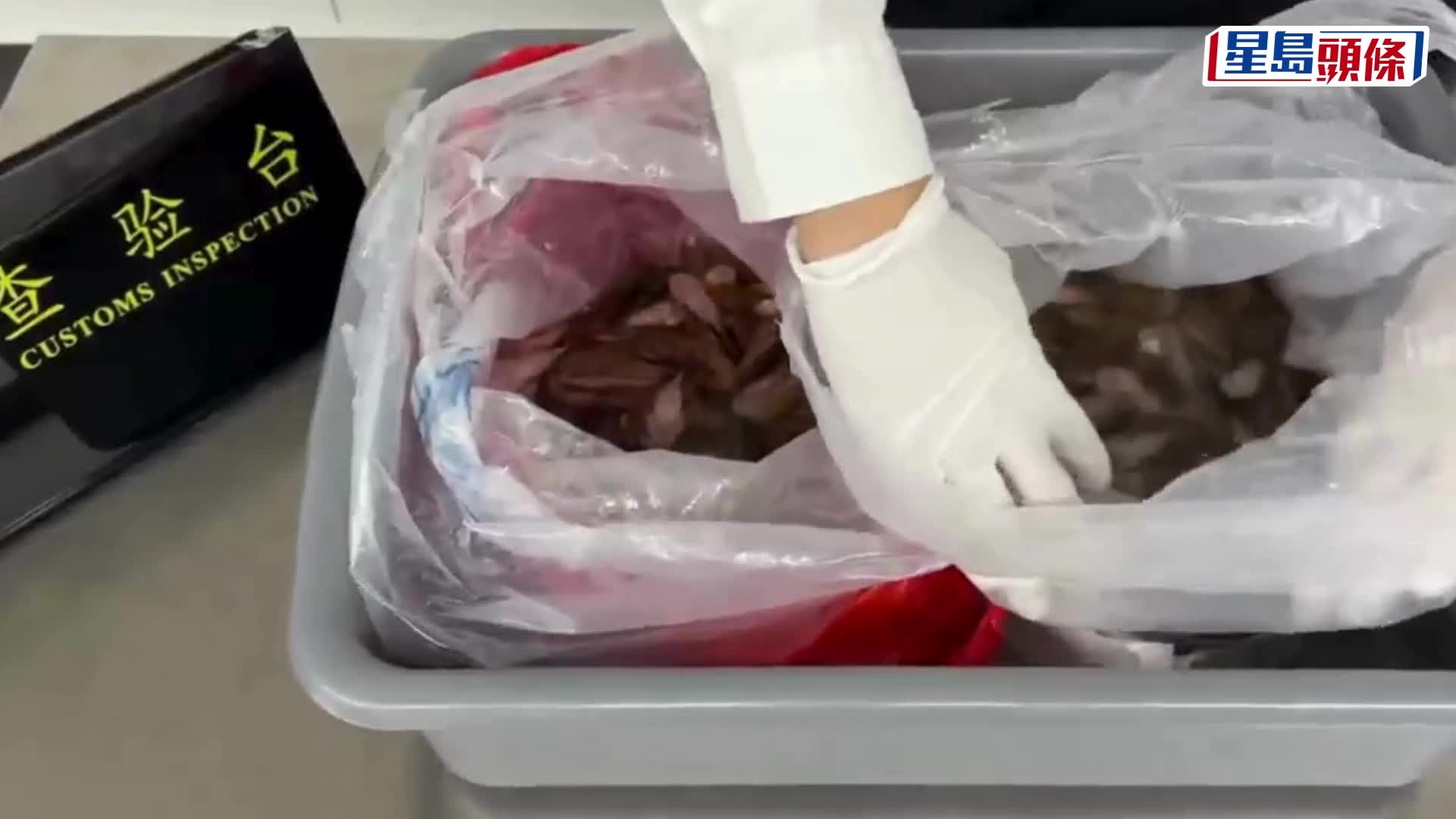 羅湖口岸︱北上女玩手機扮淡定過關  一揭裙底藏229條活魚｜有片