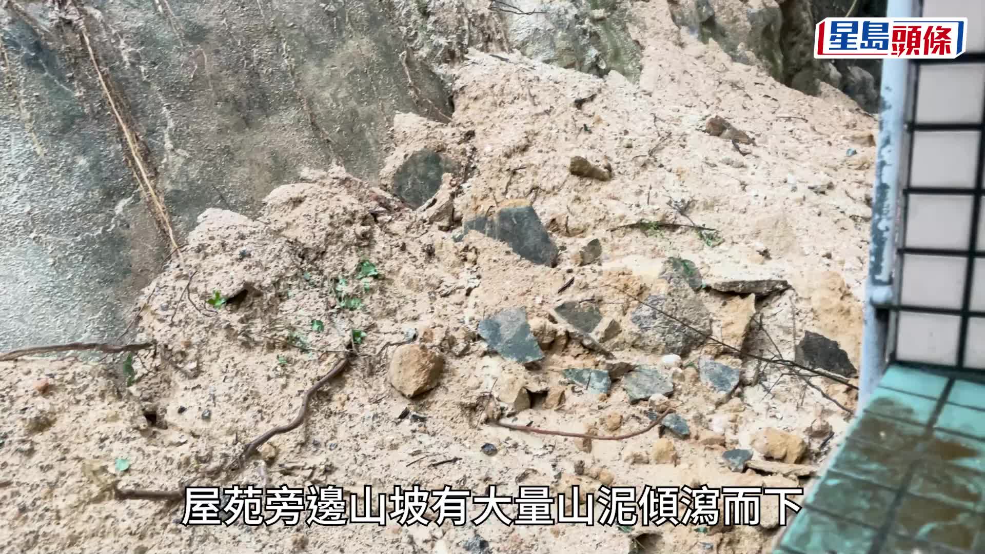 嘉翠園「冧山泥」。梁國峰攝