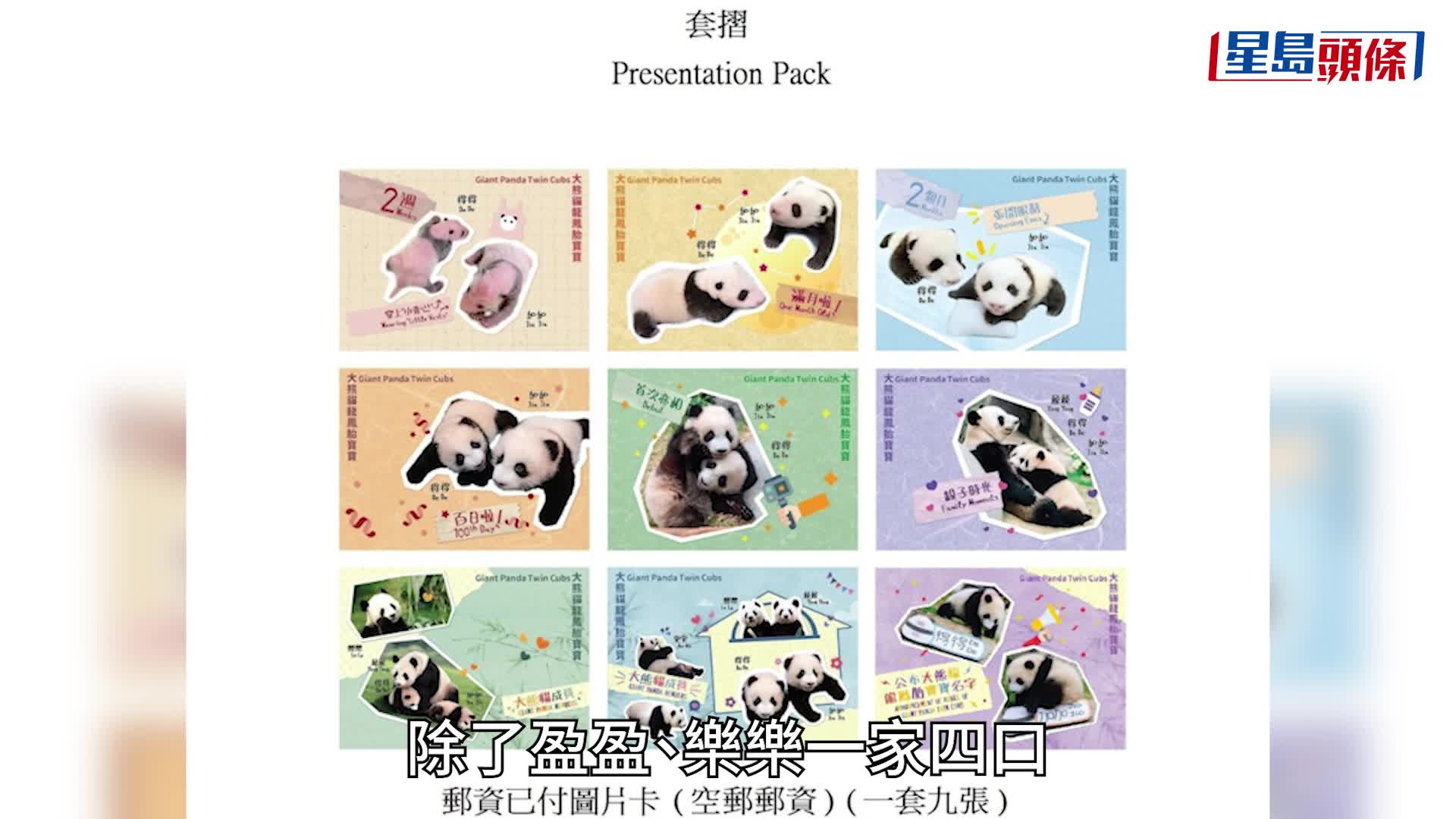 加加得得周歲︱「大熊貓龍鳳胎寶寶」郵品8.15發售 正式首日封明起率先開賣
