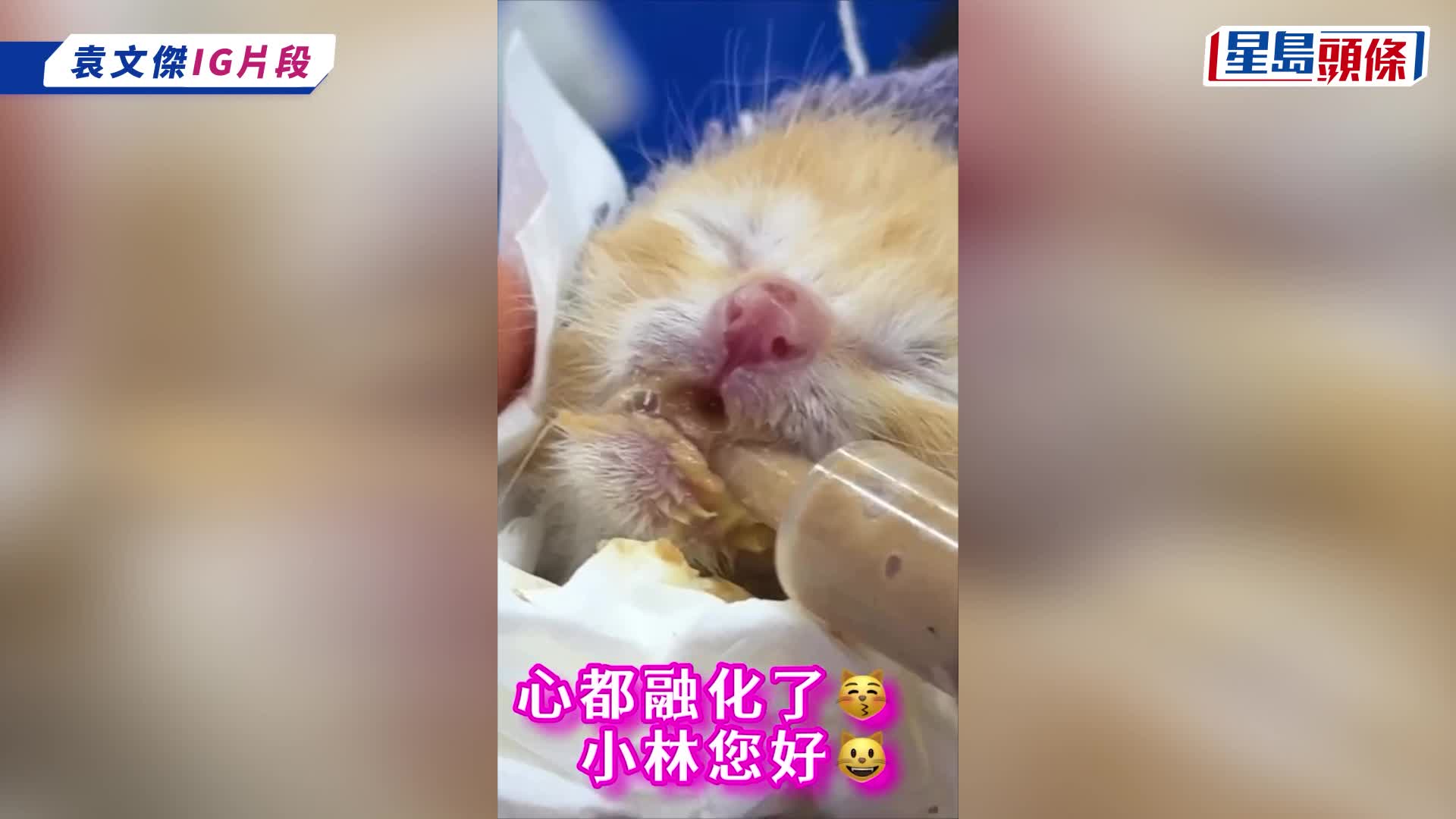 56歲袁文傑宣布成「新手爸爸」：其實是早產了   晒「抱B照」餵奶姿勢慘被圍攻？