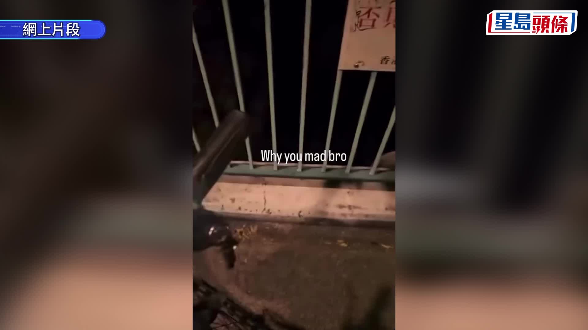 單車男將共享單車扔落橋兼拍片惹公憤 LocoBike：已著手處理