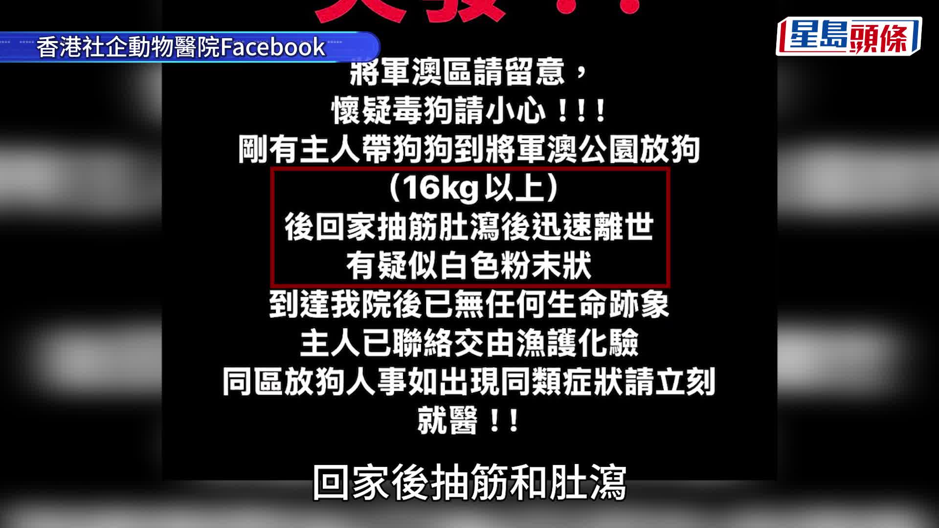 將軍澳寵物公園史賓格犬疑被毒斃  網民：係狗公園放毒等天收